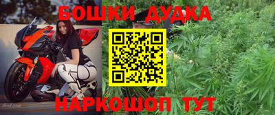 a pvp Кингисепп